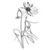 LaBlanche - Foam Mounted Silicone Stamp - Spring Flower