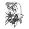 LaBlanche - Foam Mounted Silicone Stamp - Elegant Flower
