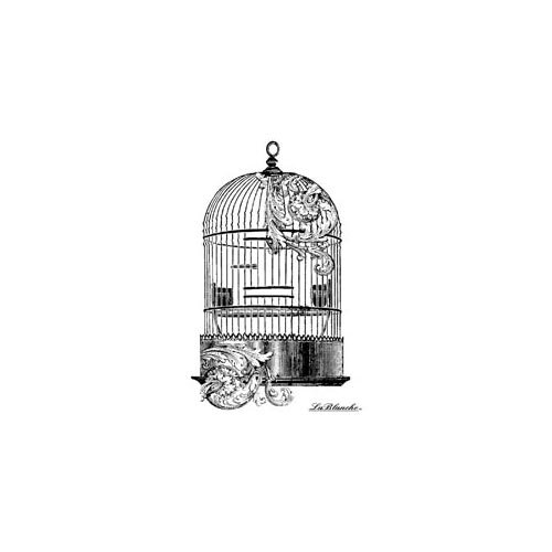 LaBlanche - Foam Mounted Silicone Stamp - Swirled Birdcage