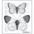 LaBlanche - Foam Mounted Silicone Stamp - Measured Butterflies