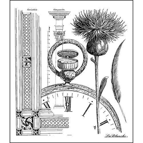 LaBlanche - Foam Mounted Silicone Stamp - Thistle Collage