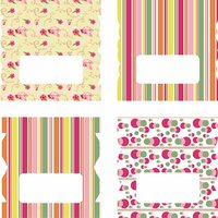 LDRS Creative - Soft Blush Collection - Cardstock Stickers - Tabs