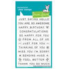 Lawn Fawn - Clear Photopolymer Stamps - Simply Sentiments