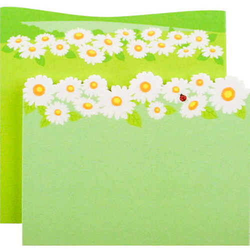 Little B - Decorative Paper Notes - Daisies