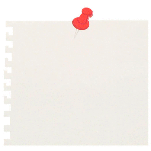 Little B - Decorative Paper Notes - Push Pin
