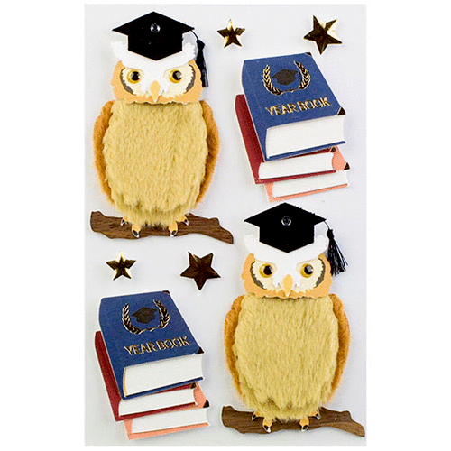 Little B - Decorative 3 Dimensional Stickers with Gem and Foil Accents - Graduation Owl - Medium