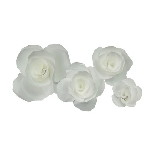 Little B - Paper Flower - Petal Kits - White Carnation