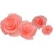 Little B - Paper Flower - Petal Kits - Pink Peony