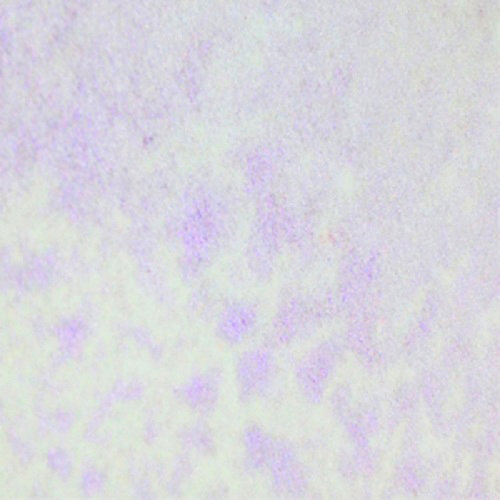 Lindy's Stamp Gang - Glitz Spritz - Shimmer Mist - 2 Ounce Bottle - Vivaceous Violet