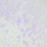 Lindy's Stamp Gang - Glitz Spritz - Shimmer Mist - 2 Ounce Bottle - Vivaceous Violet