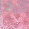 Lindy's Stamp Gang - Starburst Color Shot - 2 Ounce Jar - Alpine Ice Rose