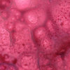 Lindy's Stamp Gang - Starburst Color Shot - 2 Ounce Jar - Autumn Maple Crimson