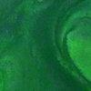 Lindy's Stamp Gang - Starburst Color Shot - 2 Ounce Jar - Cathedral Pines Green