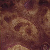 Lindy's Stamp Gang - Starburst Color Shot - 2 Ounce Jar - Cattail Copper Brown