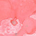 Lindy's Stamp Gang - Starburst Color Shot - 2 Ounce Jar - Ramblin' Rose Pink