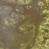 Lindy's Stamp Gang - Starburst Color Shot - 2 Ounce Jar - Saxifrage Olive Copper