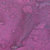 Lindy&#039;s Stamp Gang - Starburst Color Shot - 2 Ounce Jar - Sweet Violet Purple Teal