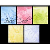 Lindy's Stamp Gang - Starburst Color Shot - Set - Icicle Creek