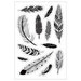 Momenta - Clear Acrylic Stamps - Assorted Feathers
