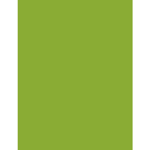 My Colors Cardstock - My Minds Eye - 8.5 x 11 Heavyweight Cardstock - Crisp Green My Colors Cardstock - My Minds Eye - 8.5 x 11 Heavyweight Cardstock - Crisp Green