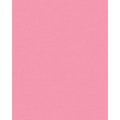My Colors Cardstock - My Minds Eye - 8.5 x 11 Classic Colors Cardstock - Petal Pink