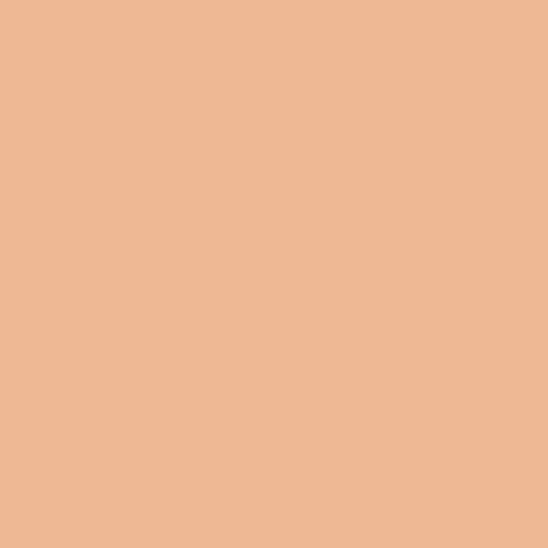 My Colors Cardstock - My Minds Eye - 8.5 x 11 Classic Cardstock - Peach