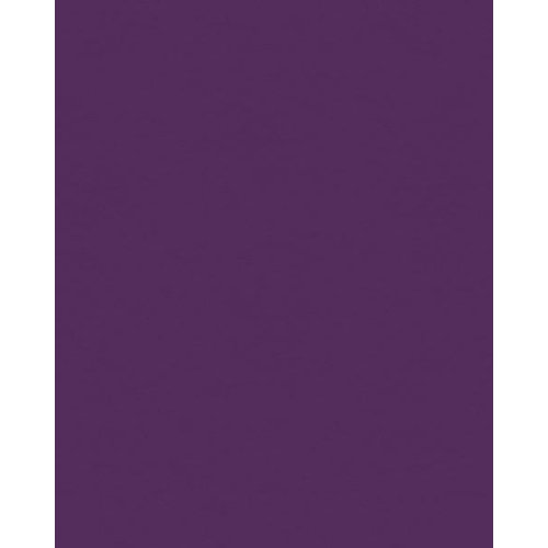 My Colors Cardstock - My Minds Eye - 8.5 x 11 Classic Colors Cardstock - Orchid