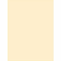 My Colors Cardstock - My Minds Eye - 8.5 x 11 Classic Cardstock - Ivory