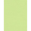 My Colors Cardstock - My Minds Eye - 8.5 x 11 Canvas Cardstock - Lime Pop
