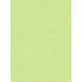 My Colors Cardstock - My Minds Eye - 8.5 x 11 Canvas Cardstock - Lime Pop