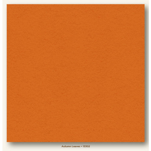My Colors Cardstock - My Minds Eye - 12 x 12 Heavyweight Cardstock - Autumn Leaves
