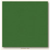 My Colors Cardstock - My Minds Eye - 12 x 12 Heavyweight Cardstock - Herb Garden