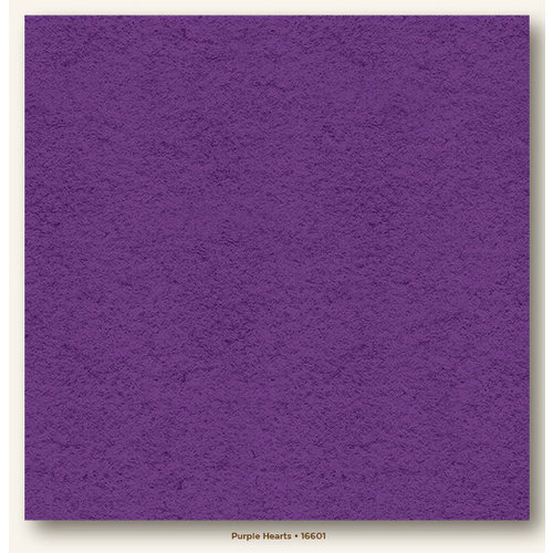 My Colors Cardstock - My Minds Eye - 12 x 12 Heavyweight Cardstock - Purple Hearts
