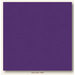 My Colors Cardstock - My Minds Eye - 12 x 12 Heavyweight Cardstock - Cyber Grape