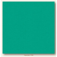 My Colors Cardstock - My Minds Eye - 12 x 12 Heavyweight Cardstock - Tropical Sea