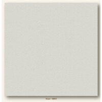 My Colors Cardstock - My Minds Eye - 12 x 12 Heavyweight Cardstock - Shale