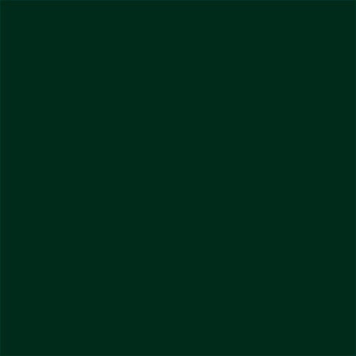 My Colors Cardstock - By PhotoPlay - 12 x 12 Classic Cardstock - Forest Green