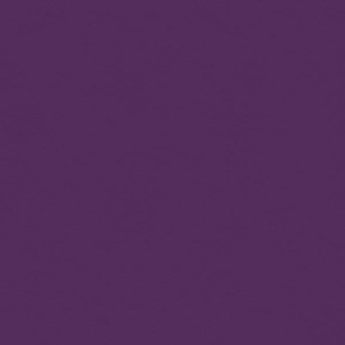 My Colors Cardstock - My Minds Eye - 12 x 12 Classic Colors Cardstock - Orchid