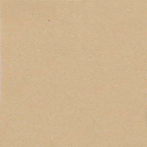 My Colors Cardstock - My Minds Eye - 12 x 12 Classic Cardstock - Kraft