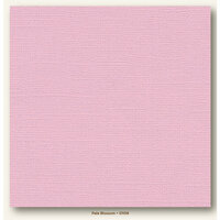 My Colors Cardstock - My Minds Eye - 12 x 12 Canvas Cardstock - Pale Blossom