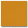 My Colors Cardstock - My Minds Eye - 12 x 12 Canvas Cardstock - Goldenrod