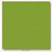 My Colors Cardstock - My Minds Eye - 12 x 12 Canvas Cardstock - Mint Julep