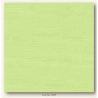 My Colors Cardstock - My Minds Eye - 12 x 12 Canvas Cardstock - Lime Pop