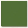 My Colors Cardstock - My Minds Eye - 12 x 12 Canvas Cardstock - Desert Cactus