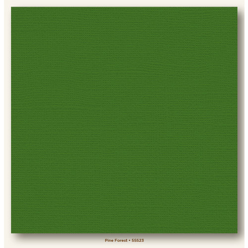 My Colors Cardstock - My Minds Eye - 12 x 12 Canvas Cardstock - Pine Forest
