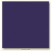 My Colors Cardstock - My Minds Eye - 12 x 12 Canvas Cardstock - Concord Jam