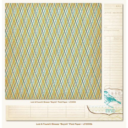My Mind's Eye - Lost and Found 2 Collection - Breeze - 12 x 12 Double Sided Glitter Paper - Boyish Plaid