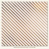 My Minds Eye - Necessities Collection - Metallic - 12 x 12 Vellum Paper with Foil Accents - Stripe