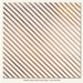 My Minds Eye - Necessities Collection - Metallic - 12 x 12 Vellum Paper with Foil Accents - Stripe