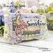 Memory Place - Sunshine Meadows Collection - 12 x 12 Double Sided Paper - Wildflower